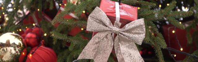 "Горизонт" сделал обзор новогодних елей Таллинна