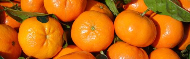 2025. aastal eemaldati Eesti turult 228 tonni nõuetele mittevastavaid tooteid