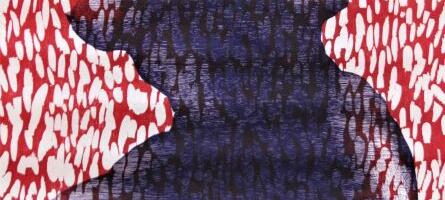 UKM-s näeb kondori lendu