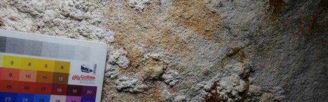 Indoneesiast leitud käejäljega koopajoonis võib ümber kirjutada inimloovuse arengu senise ajajoone