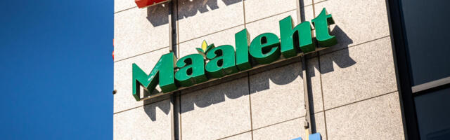 Punameedia üritab kõike Trumpiga seotut negatiivseks kirjutada