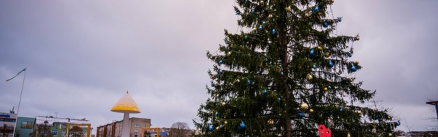 Varem üle ilma kuulsa jõulupuuga Rakveres kembeldakse kuuse õige ideoloogia üle