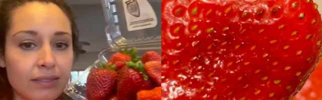 VIDEO | "Ma ei söö vist enam kunagi marju!" Putukad ja ussikesed roomavad värsketest maasikatest välja, kui pesed neid NII
