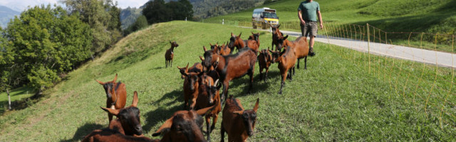 Šveits otsustab rahvahääletusel, kas lahkuda Schengenist ja teha lõpp ELi kodanike vabale liikumisele