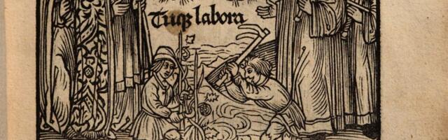 Osa meist ei võta meiena isegi keskaegseid tallinlasi