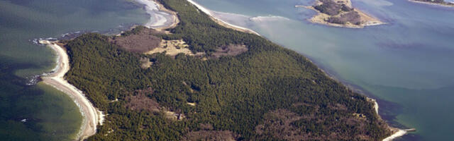 AEGNA LOODUSEGA TUTVUS TÄNAVUSEL HOOAJAL PEA 800 ÕPILAST