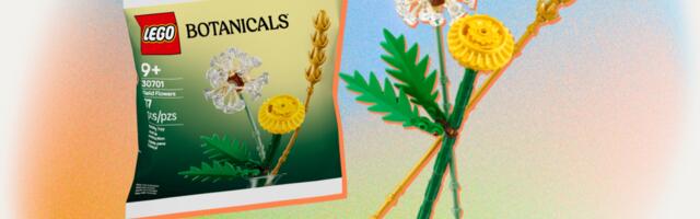 The end of Aprils free Lego is a cute bouquet of field flowers from the Botanicals collection