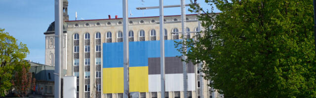 Ukraina netikelmid ja rahakullerid röövivad Eesti inimesi, riik vaatab kuritegevust pealt