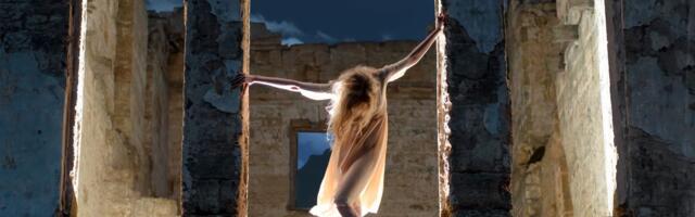 Kõik on praegu muutumises - vaata minevikku, et luua tulevikku!