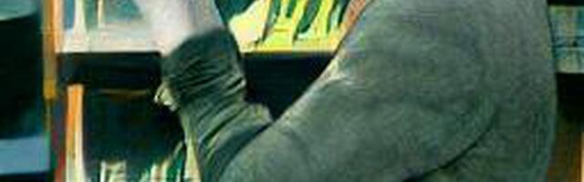 Kerttu Rakke: Laenutushüvitisest nii, nagu see on