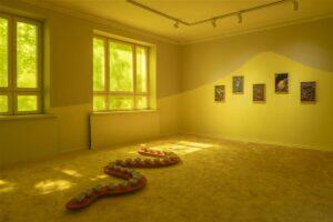 Tähelepanelikkus, mille sisse paistab päike