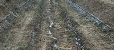 Gabrovačka reka presušila, Nišlije traže da se korito očisti