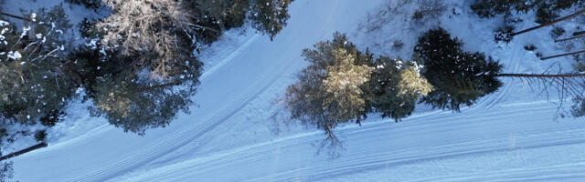 28. Tallinna Suusamaraton toimub täies pikkuses
