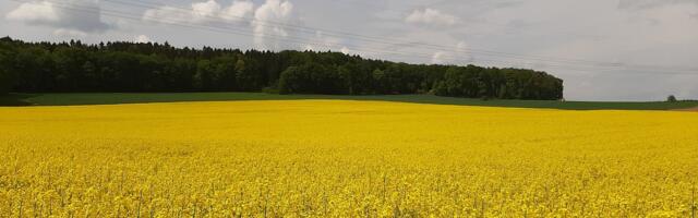 Põllumehed saavad toetust summas 20 miljonit eurot