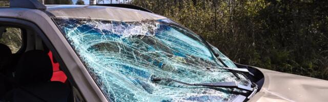 FOTOD | Põder paiskus suure hooga auto esiklaasi, juht toimetati haiglasse