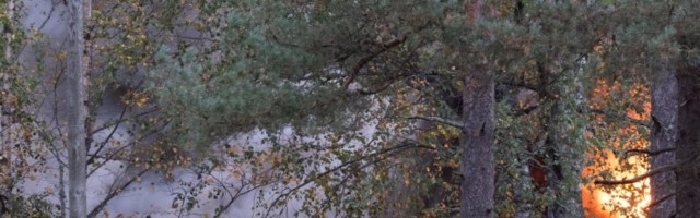 LUGEJA FOTOD | Nõmmel Sanatooriumi pargis põles mahajäetud hoome