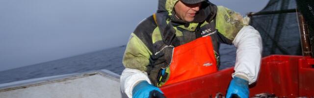 Kuidas elab Eesti kalur, metsamees ja turbatootja? “Oleme kaaluta olekus!”