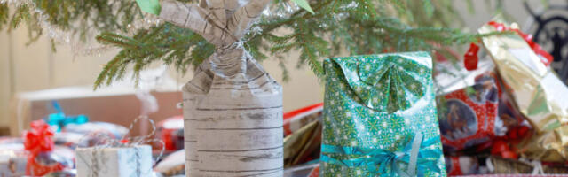 7 head nippi: kuidas teha tänavu nutikaid ja asjalikke jõulukinke?