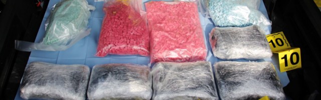 Narva piiril tabati 12,5 kilo uimasteid