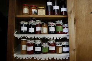 Kuniks elu, seniks moosi!