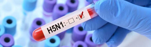 Ka Eesti tellib tuhat doosi linnugripi vastast vaktsiini