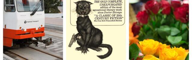 NÄDALA TIPUD | Sadama trammiliinil napib sõitjaid, kindlaks tehti rooside algne värv ning „Meister ja Margarita” tuleb taas