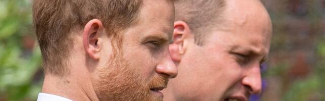 Kuninglikku perekonda tabas tragöödia! Williami ja Harry 20-aastane sugulane leiti surnuna