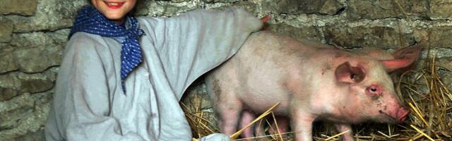 Elutöö hävib: „Mitmekümne tuhande looma hukkamine pole võrreldav investorite miljonite kaotamisega“