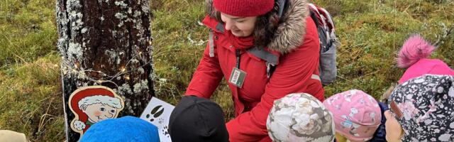 Igaüks, kes toob riigimetsast jõulupuu, panustab laste loodusharidusse 