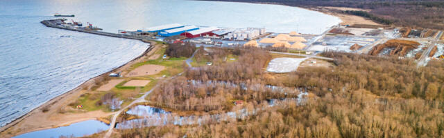 Me ei näe ei Stroomi rannas ega Reidi teel, et maailmameri kliima soojenemise tõttu uputama hakkaks