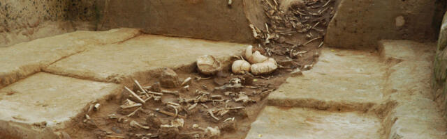 Euroopa esimesed põlluharijad kogesid võitlust ja massilist vägivalda