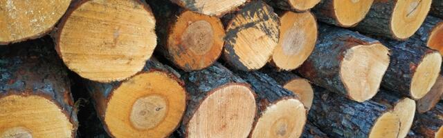 PUIDUTURG | Puidu hinnad jätkavad langemist