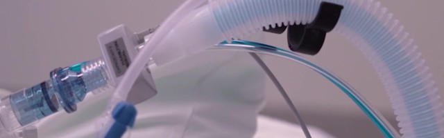 Reporter: Eestist pole Inglismaal levivat koroonatüve veel leitud