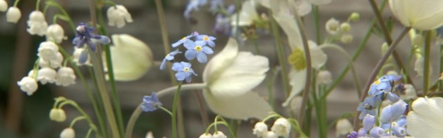 Reporter: Eesti lilleseade meistrite ühisnäitus Fahle galeriitänaval