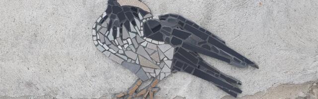 Linna linnukooslus – kuidas see meid puudutab?