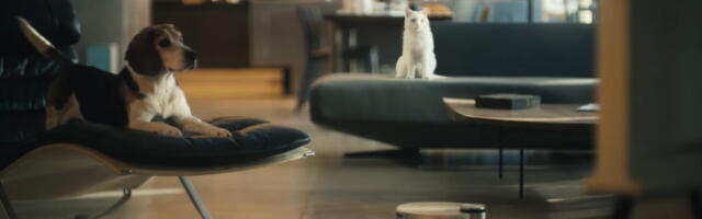 Koeratreener: koduloomad vajavad robottolmuimejaga kohanemiseks aega