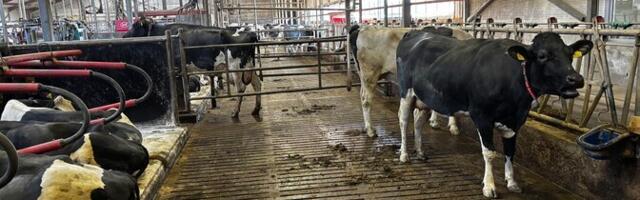 "AK.Nädal" võrdles EL-i põllumajandustoetuste jagamist