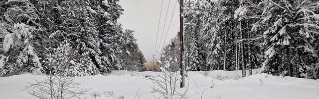 Kõpus viis-kuus päeva elektrita ja pesemata