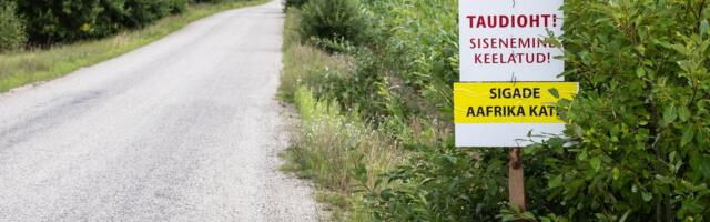 Hebo Rahman: katkuoht jäi hundikisa varju. Jahimehed, kus on selgus?