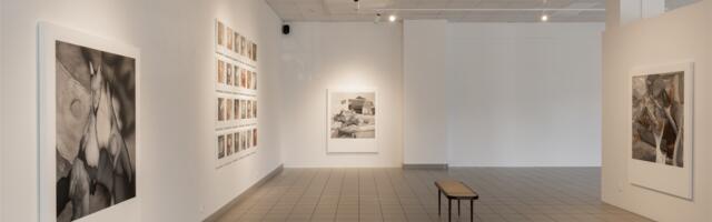 Unustusse hajuvate seepiafiguuride anonüümne maailm