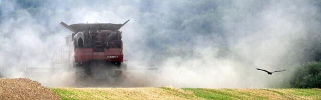 Meedia: Iisrael loobus Ukraina väitel neilt röövitud vilja vastuvõtust