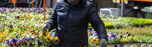 Aianduspoes saab taimi ise valida, muud peab küsima