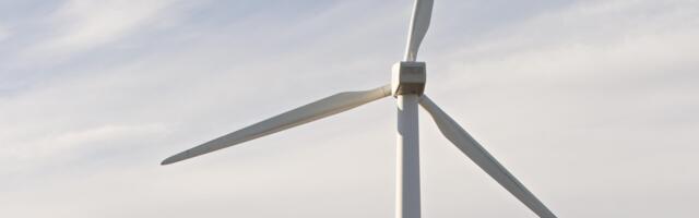 Viimsi vald on kaotanud Viktoria Tuulasega kohtus vaieldes juba 6400 eurot