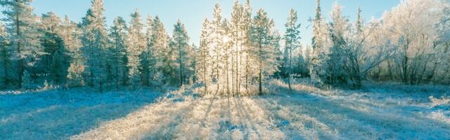 Tänavune viimane talvekuu kujunes paljuaastasest keskmisest soojemaks ning kuivemaks