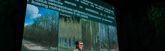 Tunnustatud metsateadlane: pole õiglane panna looduskaitse kulu erametsa omanikule