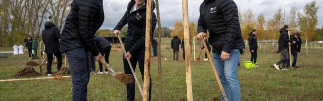Miljon puud – tasutud miljarditega võlafondist. Berliin istutab end pankrotti