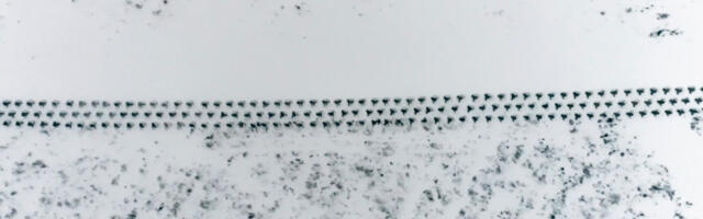 Suur sõda läheneb: Poolas alustati keset talve tankitõrjevahendite paigaldamist piirile