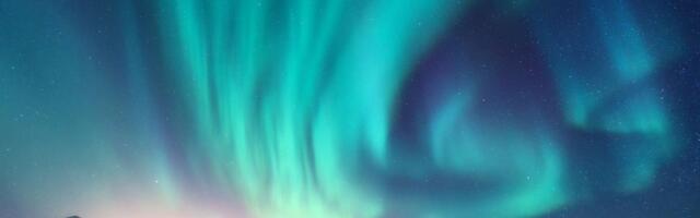 24. jaanuar: Kaalud lubagu endale rahu ja vaikust, Sõnn naudib tähelepanu