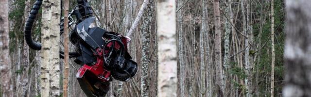 OSKA uuring: aeg on küps puidukeemia spetsialistide koolitamiseks