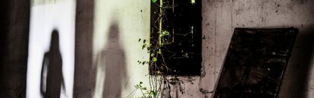 5 Eesti kõige kummitavamat mõisa, mille õuduslood ajavad hirmu naha vahele